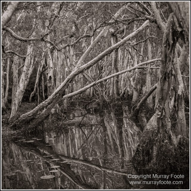 Architecture, Black and White, Cooktown, Infrared, Landscape, Monochrome, Nature, Photography, Rock Art, Travel, Wildlife
