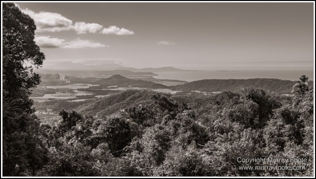 Architecture, Black and White, Cooktown, Infrared, Landscape, Monochrome, Nature, Photography, Rock Art, Travel, Wildlife