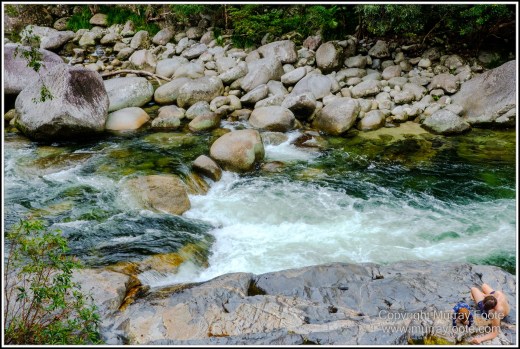 Birds, Bush Turkey, Helmeted Friarbird, Landscape, Macleay's Honeyeater, Mossman Gorge, Nature, Photography, Queensland, Travel, Wilderness, Wildlife