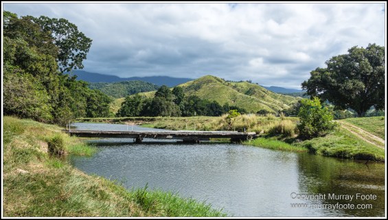 Daintree River, Infrared, Landscape, Nature, Photography, Queensland, Travel, Wilderness