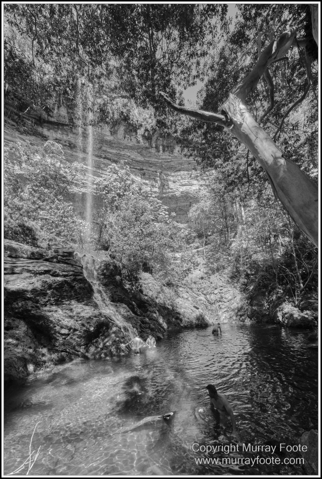 Architecture, Black and White, Infrared, Landscape, Laura, Monochrome, Nature, Photography, Rock Art, Travel, Wildlife
