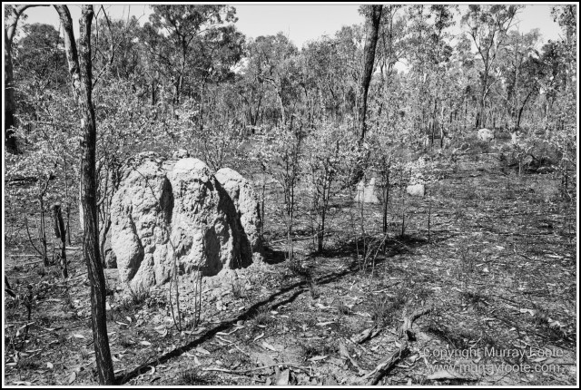 Architecture, Black and White, Infrared, Landscape, Laura, Monochrome, Nature, Photography, Rock Art, Travel, Wildlife