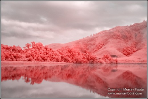 Daintree River, Infrared, Landscape, Nature, Photography, Queensland, Travel, Wilderness