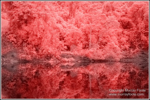 Daintree River, Infrared, Landscape, Nature, Photography, Queensland, Travel, Wilderness