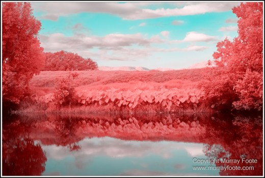 Daintree River, Infrared, Landscape, Nature, Photography, Queensland, Travel, Wilderness