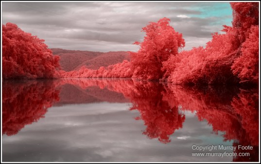Daintree River, Infrared, Landscape, Nature, Photography, Queensland, Travel, Wilderness