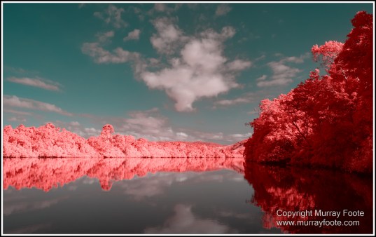 Daintree River, Infrared, Landscape, Nature, Photography, Queensland, Travel, Wilderness