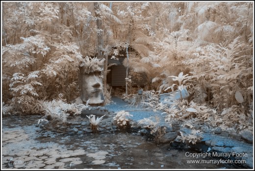 Cape Tribulation, Daintree, Infrared, Landscape, Nature, Photography, Queensland, Sculpture, seascape, Street photography, Travel, Wilderness