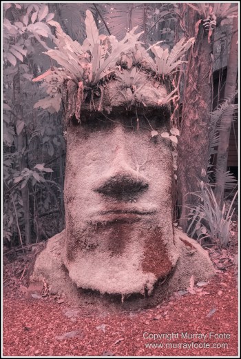 Cape Tribulation, Daintree, Infrared, Landscape, Nature, Photography, Queensland, Sculpture, seascape, Street photography, Travel, Wilderness