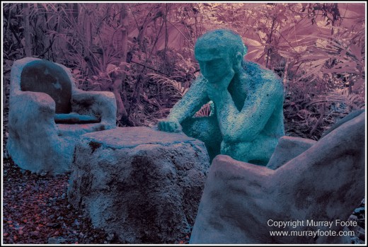 Cape Tribulation, Daintree, Infrared, Landscape, Nature, Photography, Queensland, Sculpture, seascape, Street photography, Travel, Wilderness