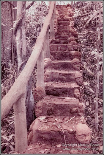 Cape Tribulation, Daintree, Infrared, Landscape, Nature, Photography, Queensland, Sculpture, seascape, Street photography, Travel, Wilderness