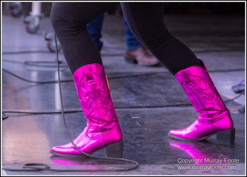 Australia, Blues, Blues Brews & BBQs, Blues Festivals, Live Music, Photography, Travel, Tumut