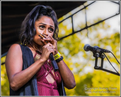 Australia, Blues, Blues Brews & BBQs, Blues Festivals, Live Music, Photography, Travel, Tumut