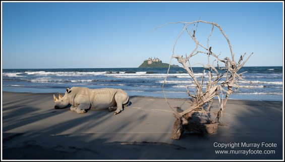 Cape Tribulation, Daintree, Infrared, Landscape, Nature, Photography, Queensland, seascape, Travel, Wilderness