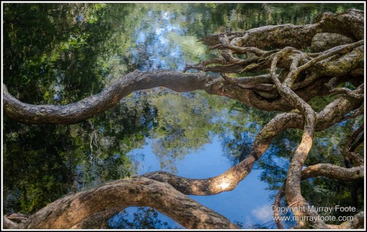 Cape Tribulation, Daintree, Infrared, Landscape, Nature, Photography, Queensland, seascape, Travel, Wilderness