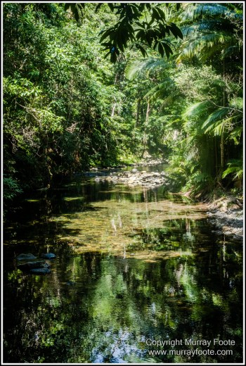 Cape Tribulation, Daintree, Infrared, Landscape, Nature, Photography, Queensland, seascape, Travel, Wilderness