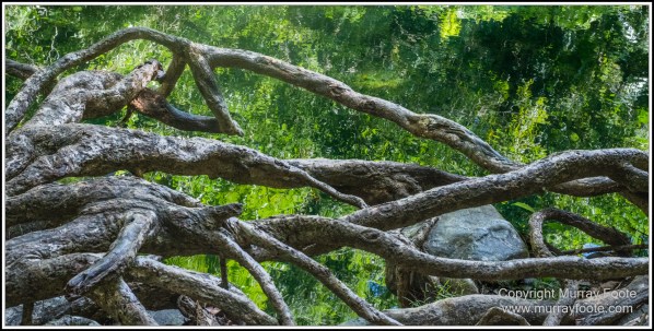 Cape Tribulation, Daintree, Infrared, Landscape, Nature, Photography, Queensland, seascape, Travel, Wilderness