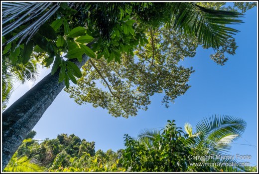 Cape Tribulation, Daintree, Infrared, Landscape, Nature, Photography, Queensland, seascape, Travel, Wilderness