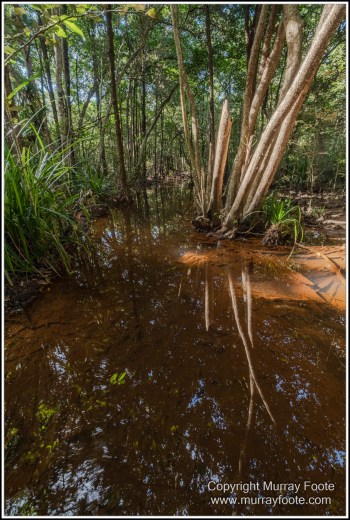 Cape Tribulation, Daintree, Infrared, Landscape, Nature, Photography, Queensland, seascape, Travel, Wilderness