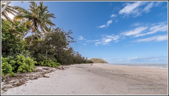 Cape Tribulation, Daintree, Infrared, Landscape, Nature, Photography, Queensland, seascape, Travel, Wilderness