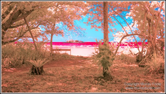 Cape Tribulation, Daintree, Infrared, Landscape, Nature, Photography, Queensland, seascape, Travel, Wilderness
