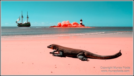 Cape Tribulation, Daintree, Infrared, Landscape, Nature, Photography, Queensland, seascape, Travel, Wilderness