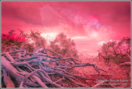 Cape Tribulation, Daintree, Infrared, Landscape, Nature, Photography, Queensland, seascape, Travel, Wilderness