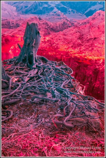 Cape Tribulation, Daintree, Infrared, Landscape, Nature, Photography, Queensland, seascape, Travel, Wilderness