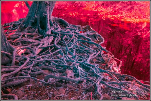 Cape Tribulation, Daintree, Infrared, Landscape, Nature, Photography, Queensland, seascape, Travel, Wilderness
