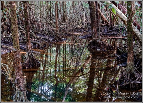 Cape Tribulation, Daintree, Infrared, Landscape, Nature, Photography, Queensland, seascape, Travel, Wilderness