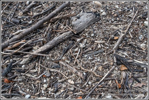Barron Falls, Cape Tribulation, Cow Bay, Daintree, Jindalba Boardwalk, Kuranda, Landscape, Nature, Photography, Queensland, seascape, Travel, Wilderness, Wildlife