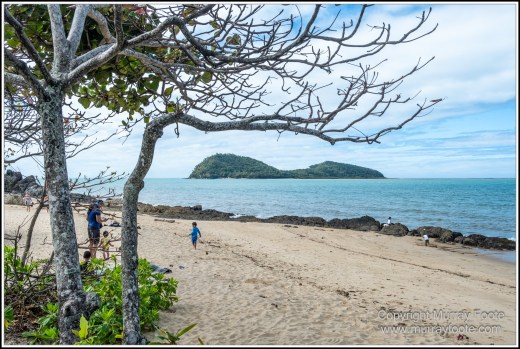 Barron Falls, Cape Tribulation, Cow Bay, Daintree, Jindalba Boardwalk, Kuranda, Landscape, Nature, Photography, Queensland, seascape, Travel, Wilderness, Wildlife