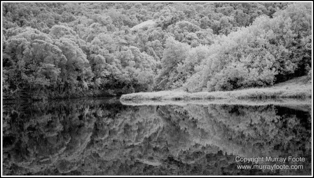 Black and White, Daintree River, Infrared, Landscape, Monochrome, Mossman Gorge, Nature, Photography, Travel, Wildlife