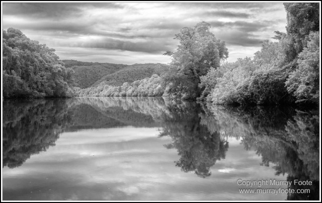 Black and White, Daintree River, Infrared, Landscape, Monochrome, Mossman Gorge, Nature, Photography, Travel, Wildlife