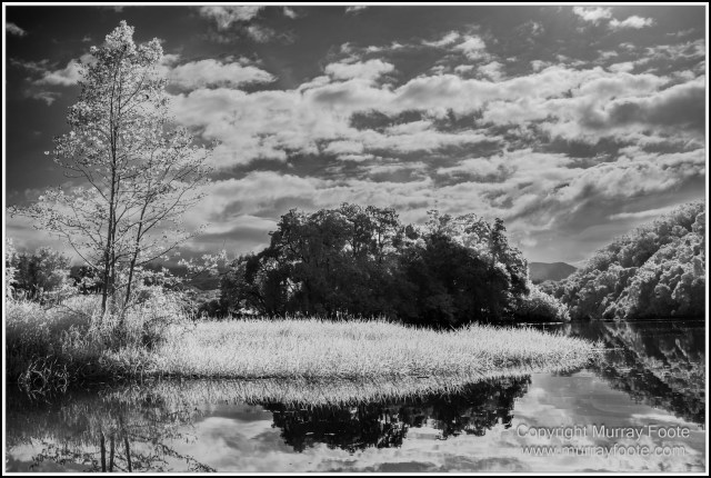 Black and White, Daintree River, Infrared, Landscape, Monochrome, Mossman Gorge, Nature, Photography, Travel, Wildlife