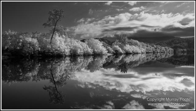 Black and White, Daintree River, Infrared, Landscape, Monochrome, Mossman Gorge, Nature, Photography, Travel, Wildlife