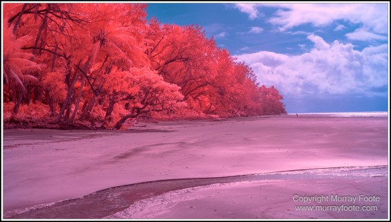 Cape Tribulation, Daintree, Infrared, Landscape, Nature, Noah Beach, Photography, Queensland, seascape, Travel, Wilderness. 