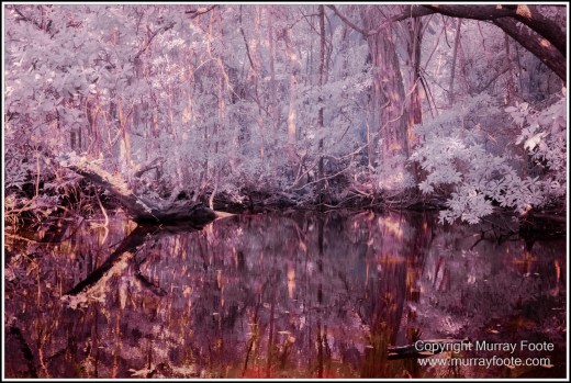 Cape Tribulation, Daintree, Infrared, Landscape, Nature, Noah Beach, Photography, Queensland, seascape, Travel, Wilderness. 