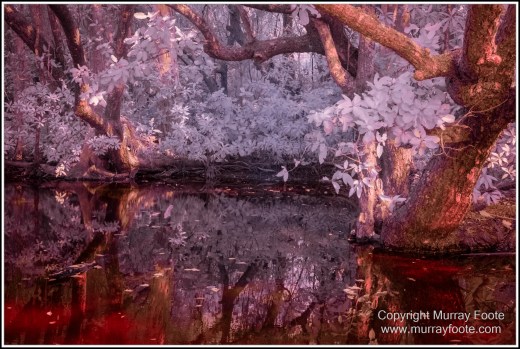 Cape Tribulation, Daintree, Infrared, Landscape, Nature, Noah Beach, Photography, Queensland, seascape, Travel, Wilderness. 