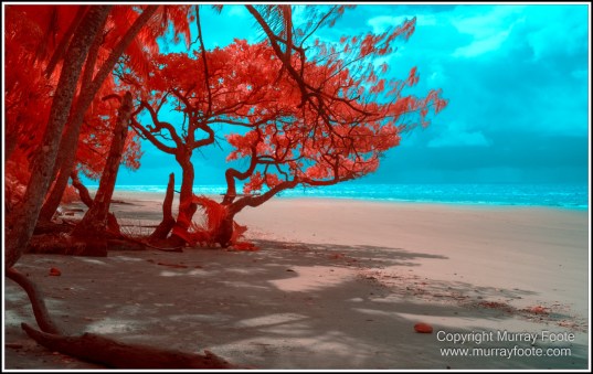 Cape Tribulation, Daintree, Infrared, Landscape, Nature, Noah Beach, Photography, Queensland, seascape, Travel, Wilderness. 