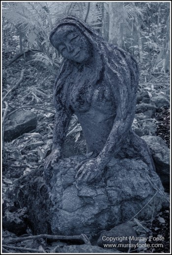 Cape Tribulation, Daintree, Infrared, Landscape, Nature, Photography, Queensland, Rainforest Hideaway, Travel, Wilderness, Wildlife