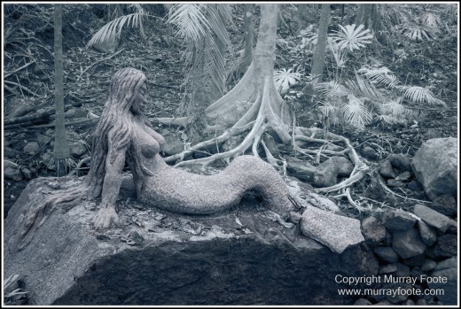 Cape Tribulation, Daintree, Infrared, Landscape, Nature, Photography, Queensland, Rainforest Hideaway, Travel, Wilderness, Wildlife