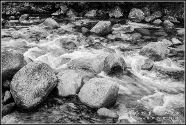 Black and White, Daintree River, Infrared, Landscape, Monochrome, Mossman Gorge, Nature, Photography, Travel, Wildlife
