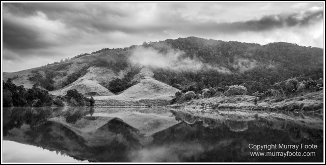 Black and White, Daintree River, Infrared, Landscape, Monochrome, Mossman Gorge, Nature, Photography, Travel, Wildlife