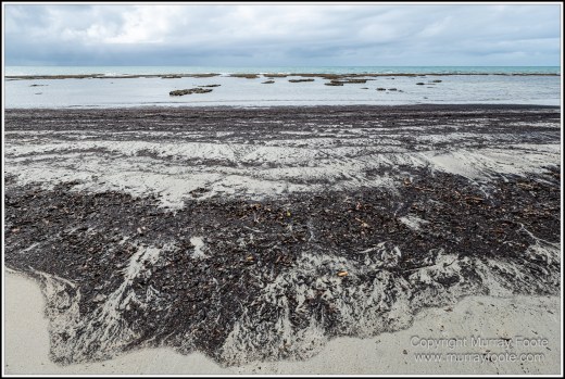 Cape Tribulation, Daintree, Infrared, Landscape, Nature, Noah Beach, Photography, Queensland, seascape, Travel, Wilderness. 