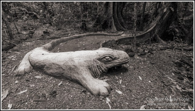 Black and White, Cape Tribulation, Daintree, Infrared, Landscape, Monochrome, Nature, Photography, Travel