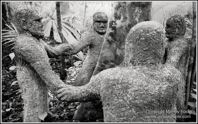 Black and White, Cape Tribulation, Daintree, Infrared, Landscape, Monochrome, Nature, Photography, Street photography, Travel, Wildlife
