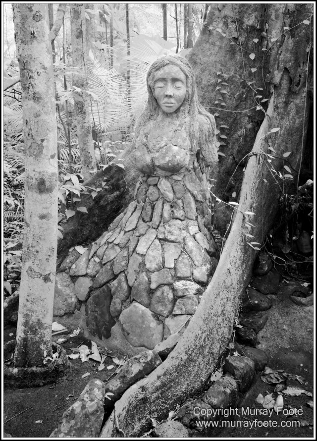 Black and White, Cape Tribulation, Daintree, Infrared, Landscape, Monochrome, Nature, Photography, Street photography, Travel, Wildlife