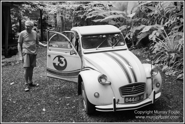 Black and White, Cape Tribulation, Daintree, Infrared, Landscape, Monochrome, Nature, Photography, Street photography, Travel, Wildlife