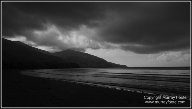 Black and White, Cape Tribulation, Daintree, Infrared, Landscape, Monochrome, Nature, Photography, Street photography, Travel, Wildlife